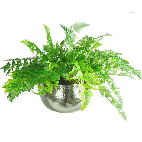 Large Artificial Ferns Display with XL Metal Silver Bowl Planter 50x65cm