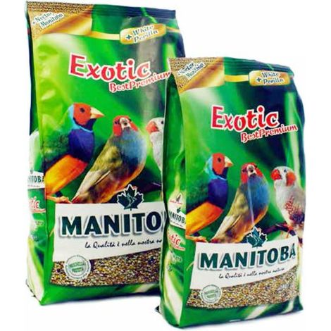 Exotic Best Premium Manitoba - 1 kg