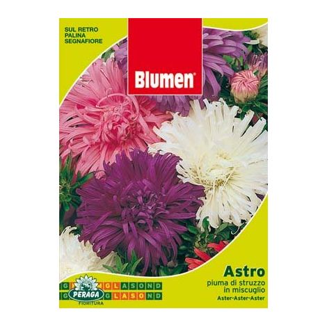 BUSTINA CON SEMI DI ASTRO PIUMA DI STRUZZO IN MISCUGLIO