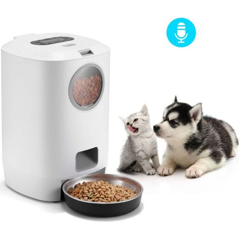 Distributeur de croquettes automatique pour chat-DOU