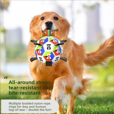 Ballon de football pour chien avec sangles, jouet interactif de tir à la corde pour chiots et grands chiens, jeu résistant (1/5)
