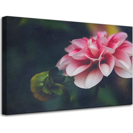 Lienzo impreso Botanica Pink Dahlia 80x50 cm