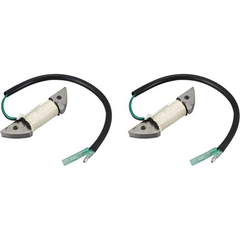 Adecuado para dos bobinas de encendido de motor fueraborda 3B2-06120-0, aplicable a motores marinos de dos tiempos de 6 hp, 8 hp y 9,8 hp M6, M8 y M9,8.