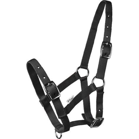1 verstellbares Fohlenhalfter mit robustem Gurt, Reitsport-Trainingsaufschrift (1/5)