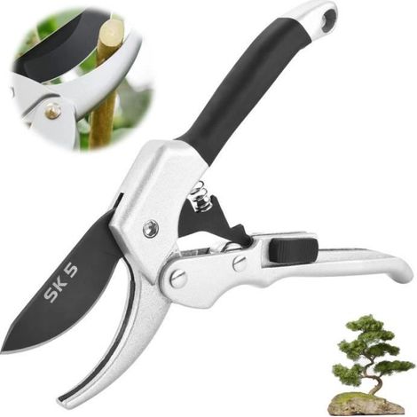 Professionelle Gartenschere, ideal für den präzisen Schnitt von Obstbäumen und Weinreben.