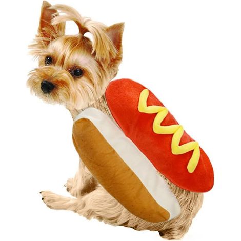 Déguisement de hot-dog en forme de hamburger pour chiot et chaton, idéal pour Halloween, le cosplay et les fêtes. (1/5)