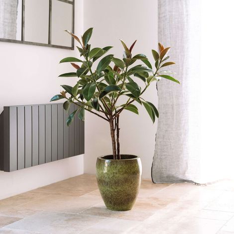 Vaso POSEIDON2 36x43cm verde lago (1/5)