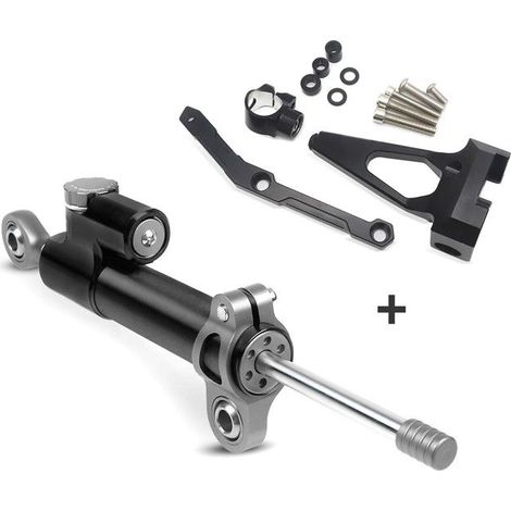 Ammortizzatore di direzione + Supporto per Yamaha MT-09 13-20 S-W1