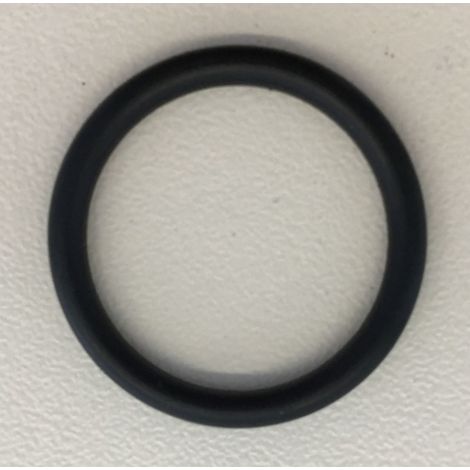 O-Ring 20,29x2,62mm