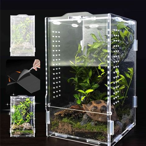 Comedero para insectos，acrílico transparente，terrario para reptiles，12 x 12 x 20 cm，contenedor para lagartos，ranas y escarabajos (1/5)