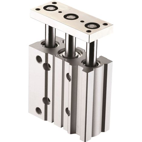 Vérin guidé pneumatique RS PRO SGM, course 20mm, Ø du piston 12mm, action Double ( Prix pour 1 )