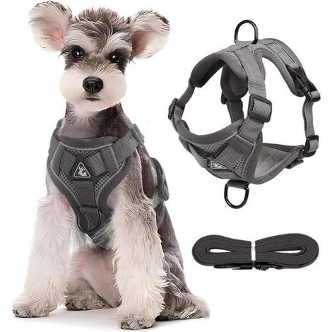 Harnais réglable pour animaux de compagnie - Anneau de stabilisation triangulaire - 2 clips de laisse - Gilet rembourré - Anti-étranglement (1/5)