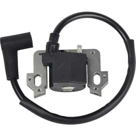 Module de Bobine D'allumage Compatible avec Honda GCV135 GCV160 GCV190 GSV160 (1/5)