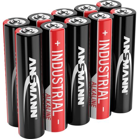 ANSMANN Lot de piles alcalines Industrial Micro AAA 1,5V (10 pièces) (1/5)