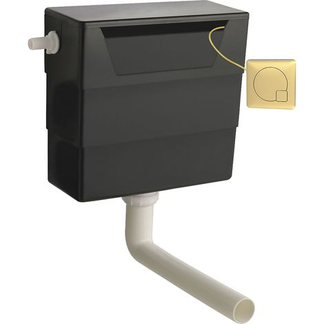 Universal Water Saving Dual Flush Side Inlet & Square Flush Plate - Brushed Brass/Black