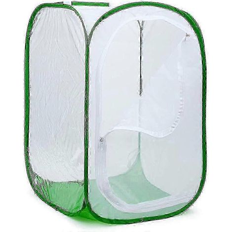 Grand terrarium pliable pour papillons, avec filet à insectes et papillons pour l'élevage. (1/4)