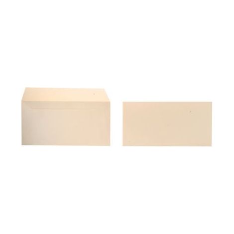 Enveloppe pollen DL 120g ivoire irise Paquet de 20