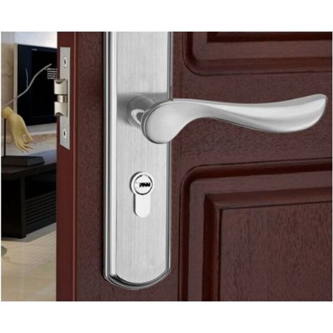 Levier de poignée de porte, serrure à levier Euro, serrure à 2 leviers, cylindre, clé en laiton, acier inoxydable (acier brossé) (1/2)