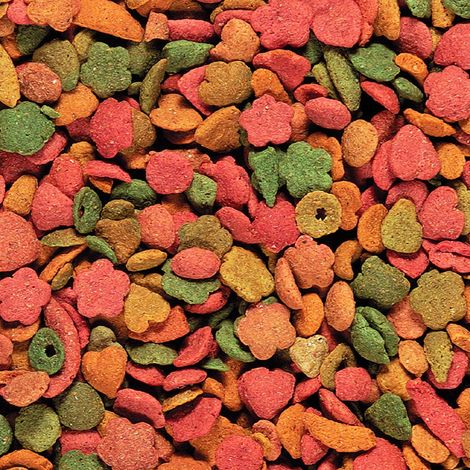 Nutribird P15 Tropical - Aliment d'entretien pour perroquets et aras, multicolore, 1 kg Offre exclusive (1/2)
