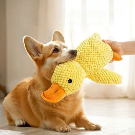 Jouet interactif chien Canard en peluche 25 cm – Sonore, résistant, anti-stress, format petit (1/5)