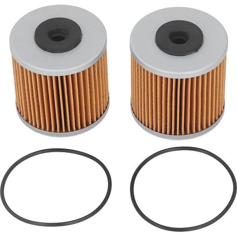 Kit de filtre de Transmission hydraulique avec joints toriques, accessoire d\'outils de jardin pour engrenage hydraulique 71943 21548300, 2 pièces (1/5)