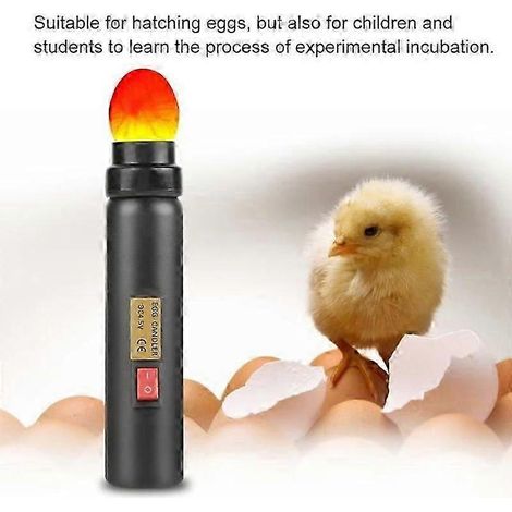 Testeur d'œufs LED, incubateur d'œufs, lampe de fertilité, lampe portable à lumière froide haute intensité (1/4)