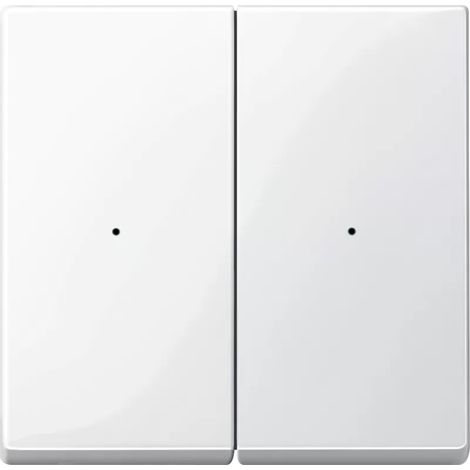 Merten Wippe pws/gl für Tastermodul 2f. 619219 (1/2)