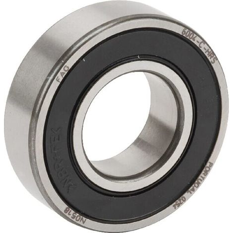 Rodamientos de bolas estriados FFAG INA 6004CHRS