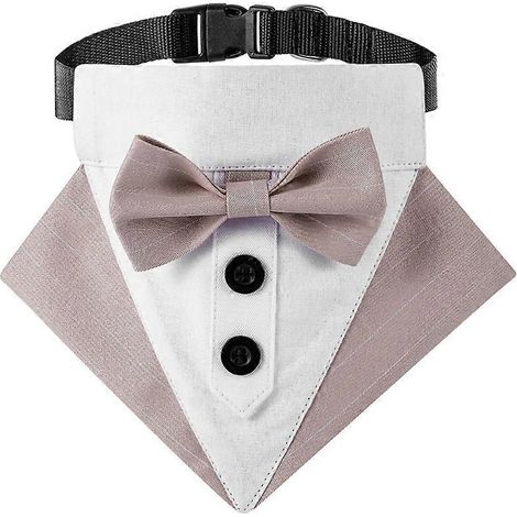 Kätzchen-Fliege-Halsband, elegante Prinzen-Halskette, Foto-Accessoire, Rosa