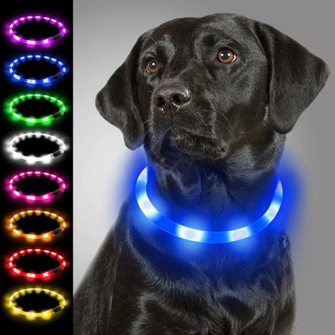 Collier Lumineux pour Chiens, Collier de Chien LED Rechargeable USB, Clignotant Collier de Sécurité Réglable Bleu (1/5)
