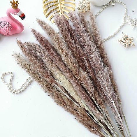 15 pièces de roseaux, épis de blé de la pampa, queue de lapin, fleurs séchées naturelles, bouquet, décoration de mariage, de Noël ou de décoration intérieure-primary colour15pcs