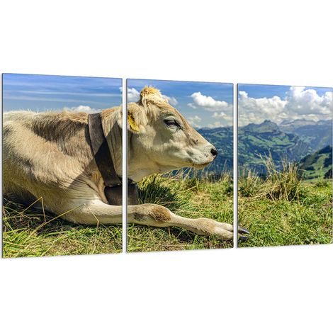 Piastra protettiva in vetro per stufa 3x30x52 (1/5)