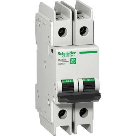 Interruptor automático C60N de SCHNEIDER 2 polos 1A 230V tipo C.