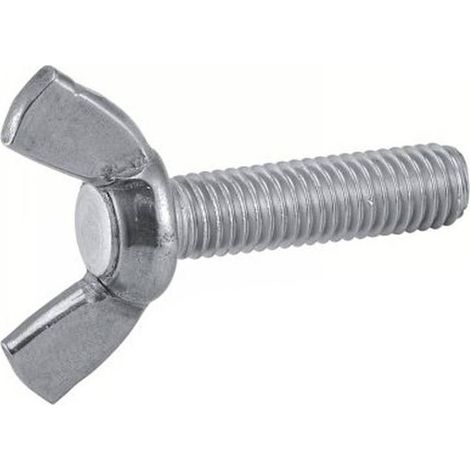 50 Vis à Oreilles Forme Américaine 10 x 16 mm - DIN 316 - Inox A2 - D-Work
