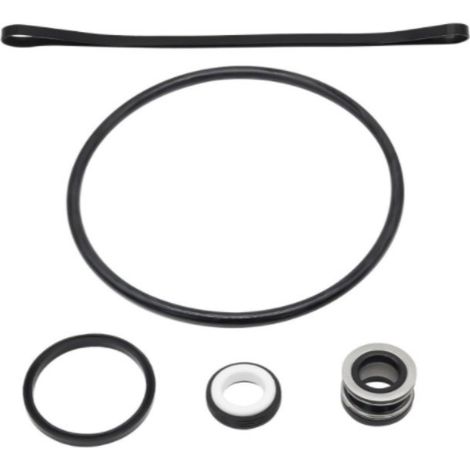 Kit de Réparation de Joint Torique SP3000X pour Pompe Hayward – Inclut Ensemble de Joint d'Arbre SPX1600Z2 PS-20 – Rénovation Complète (1/4)
