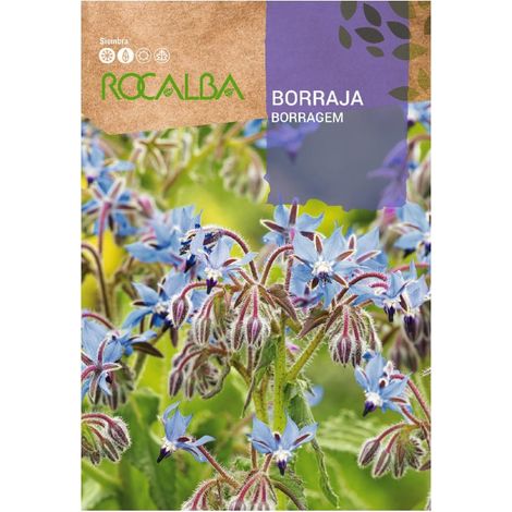 Rokalba Borraja officinalis Taschen 4G Samen