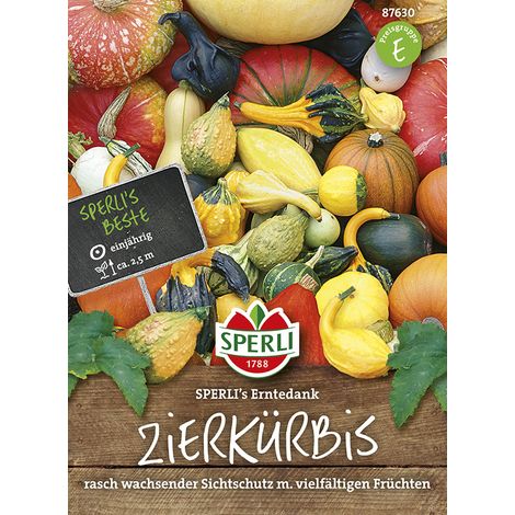 Sperli – Courges décoratives « SPERLI's Erntedank » – Graines, mélange de formes variées, 250 cm (1/2)