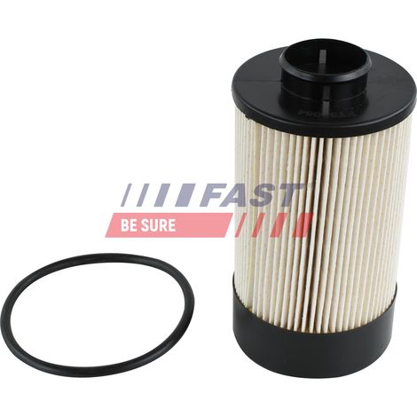 Filtro carburante FT39064 rapido