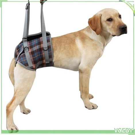 Harnais de levage pour chien - FAFEICY - Taille M (12,5–20 kg) - Respirant - Boucle rétractable 20 cm - Poignée amovible (1/5)