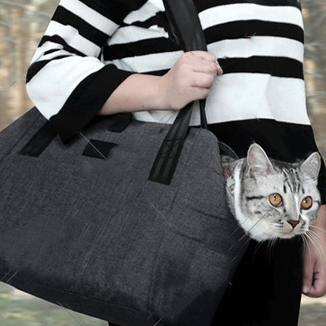 [Haustier-Transporttasche] Premium-Haustier-Transporttasche [Modell: Reise] [Robuste und tragbare Tasche] Schwarz, 30 x 38 x 17 cm, mit 3-stufiger USB-Heizmatte für Katzen und Hunde (1/5)