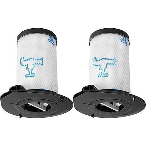 2 Filtres pour Rowenta Air Force 460 560 Air Force Flex 560 Air Force 360 MAX ZR009002 RH9252 RH9253 RH9256 RH9286