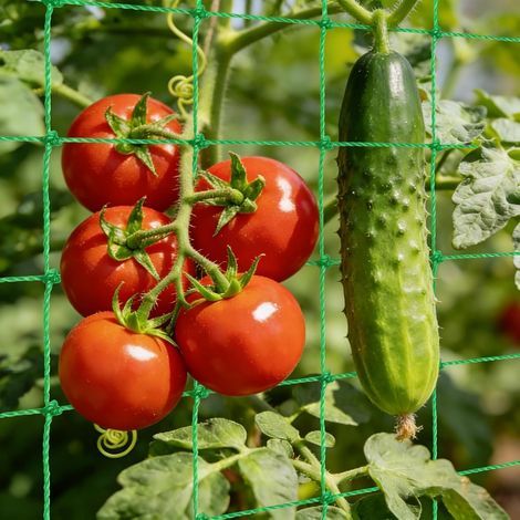 Ranknetz für Kletterpflanzen, robustes Gartenspalier, für Gurken und Tomaten im Freien (1/5)