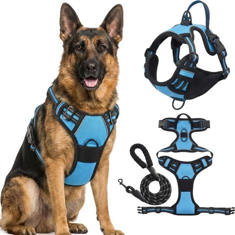 KLVGTIFS PU - Harnais Chien Arnais Bleu Anti Traction Réfléchissant Gilet Réglable pour Chien Taille XL Attache Devant Crochet de Laisse (1.5M) (1/5)