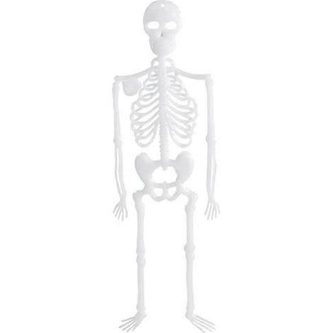 Squelettes phosphorescents - Spooky Bones - 32 cm - Lot de 4 - Décoration Halloween - Étanches