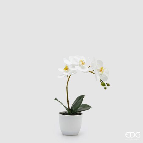 EDG Enzo De Gasperi Orchidea Phalaenopsis con Vaso e Foglie H 40 Cm Pianta Artificiale Bianco