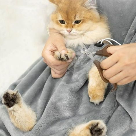 Katzenschürze aus weichem Flanell mit Krallenlöchern, multifunktionale Haustierschürze zum Krallenschneiden (1/5)