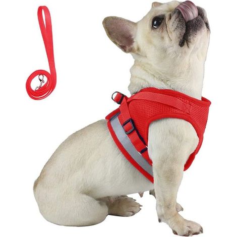 Corde de traction de type gilet pour animaux de compagnie (bleu L)-Fei Yu (1/3)