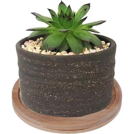 Soucoupe ronde en bambou pour plantes, mini pot de fleurs, support pour plantes grasses (1/4)