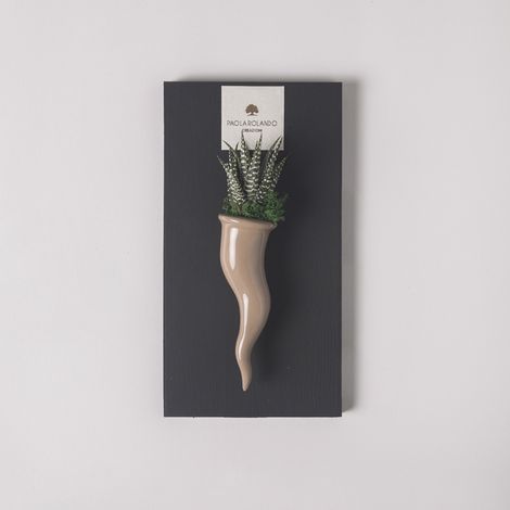 Pianta grassa succulenta in vaso ceramico artigianale Cornetto - Beige