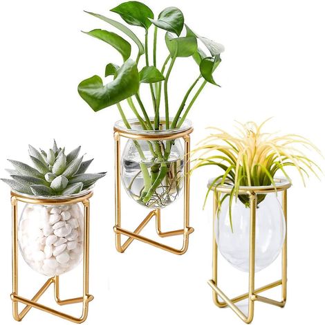 Ensemble de 3 mini terrariums géométriques en métal doré pour plantes aériennes, vases en verre, présentoirs pour tillandsias, vases hydroponiques.